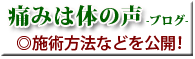 �ɂ݂͑̂̐��i�u���O�j